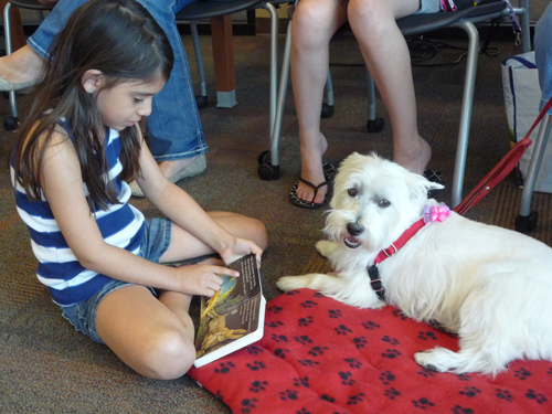 Girl reading to white dog