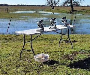 Microscopes for use in the field.